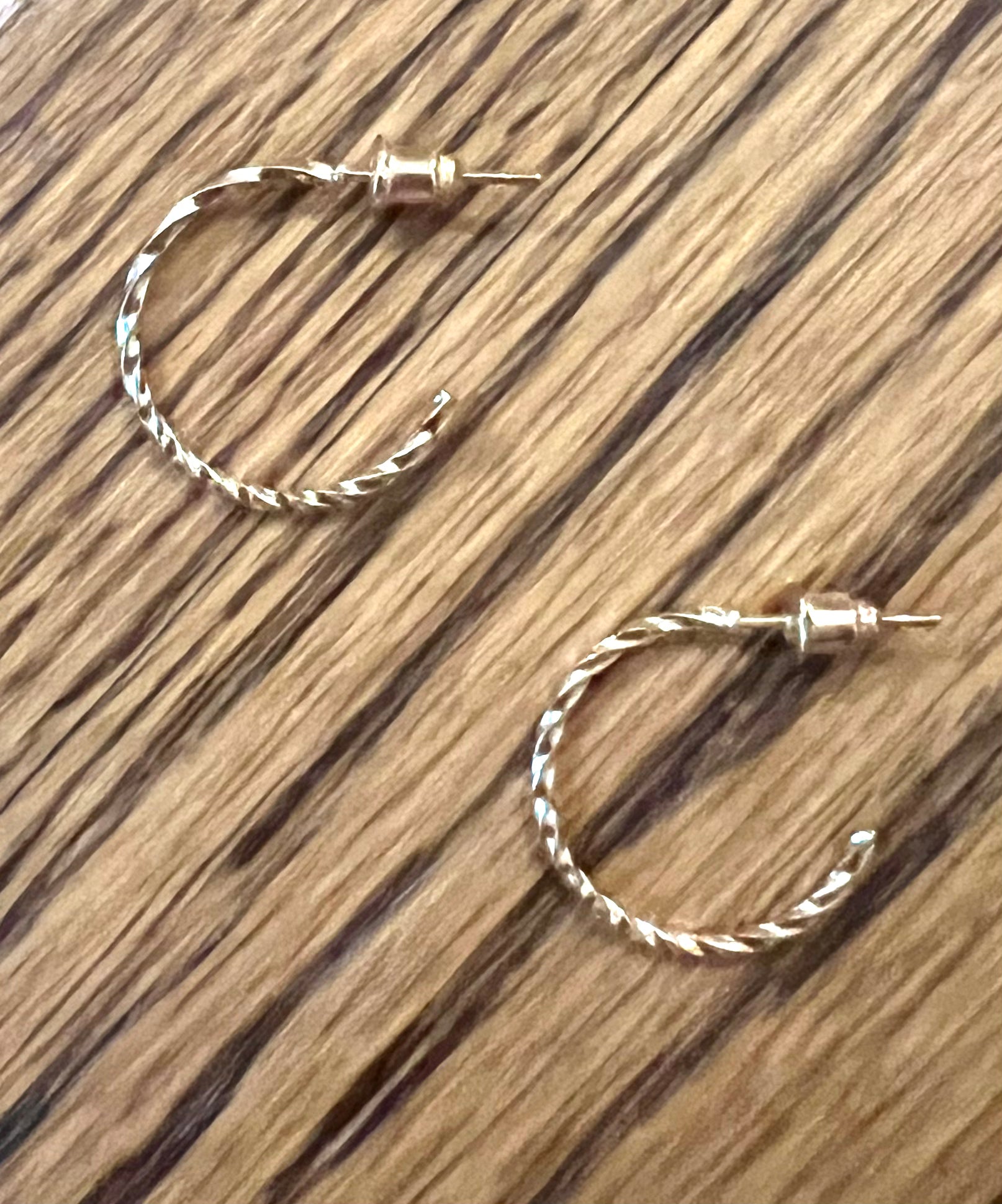 BRIER SMALL HOOP EARRING